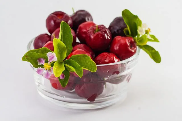 complement alimentaire acerola
