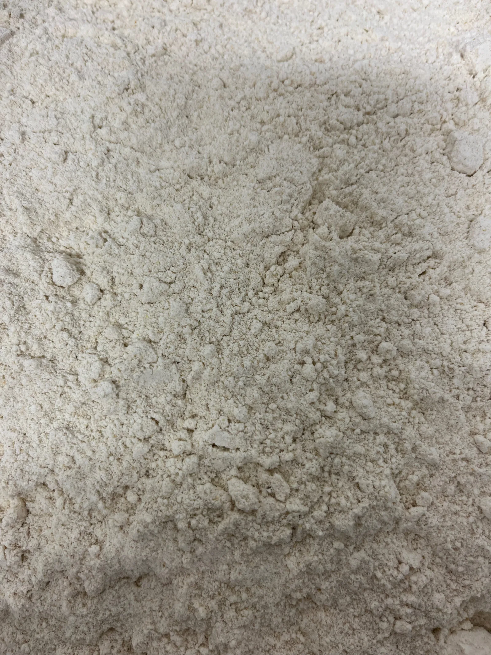 poudre farien d'avoine colloidale bio