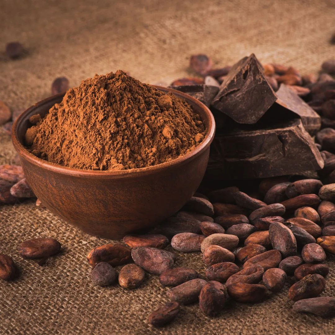 Collagène Cacao – Préparation riche en protéines au cacao