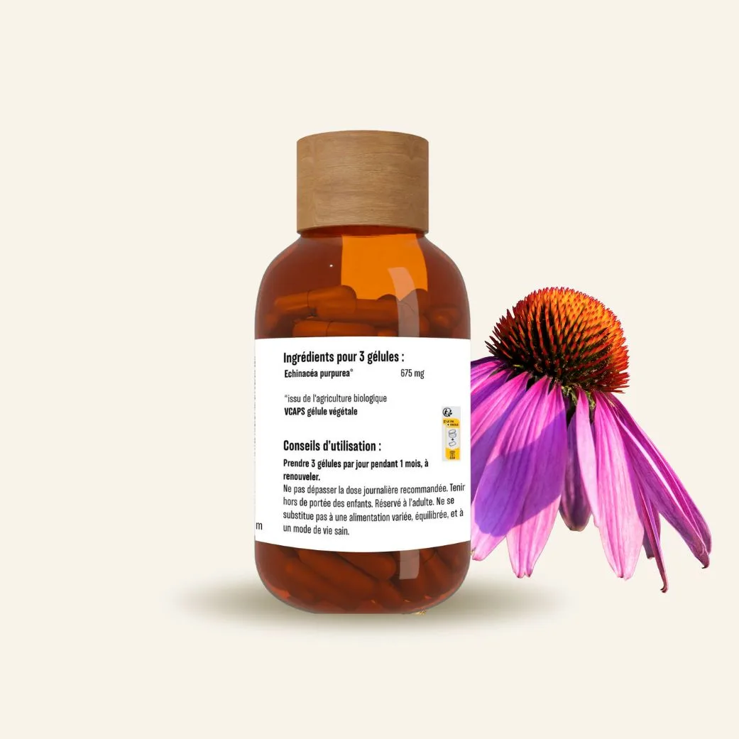 echinacea purpurea bio gelules