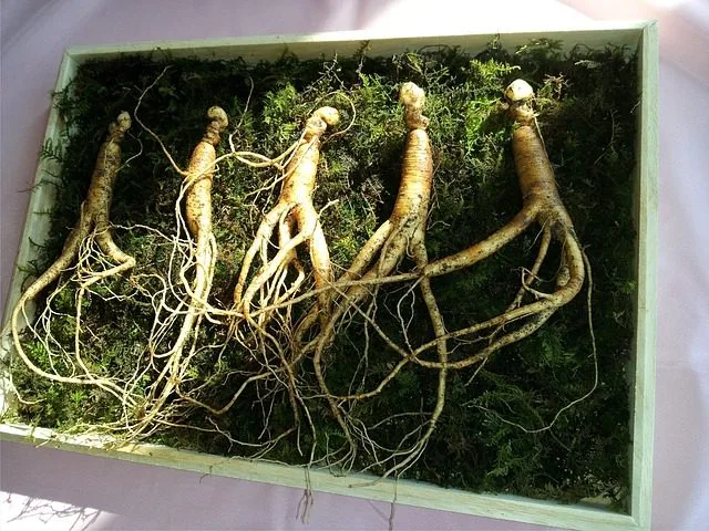 COMPLEMENT ALIMENTAIRE GINSENG NATURE AZ