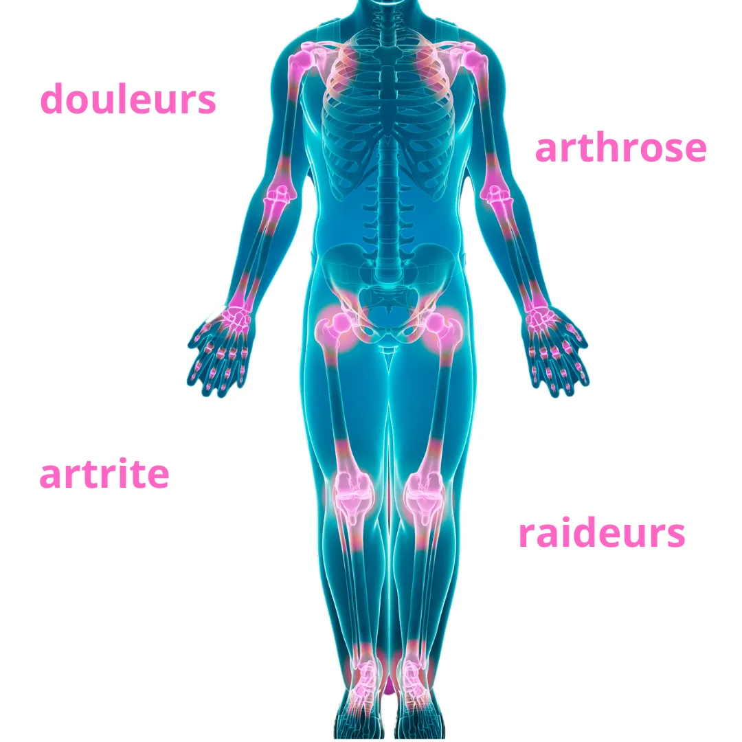 articulations, douleurs, arthrose, artrite, raideur
