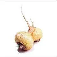 complement alimentaire maca nature az