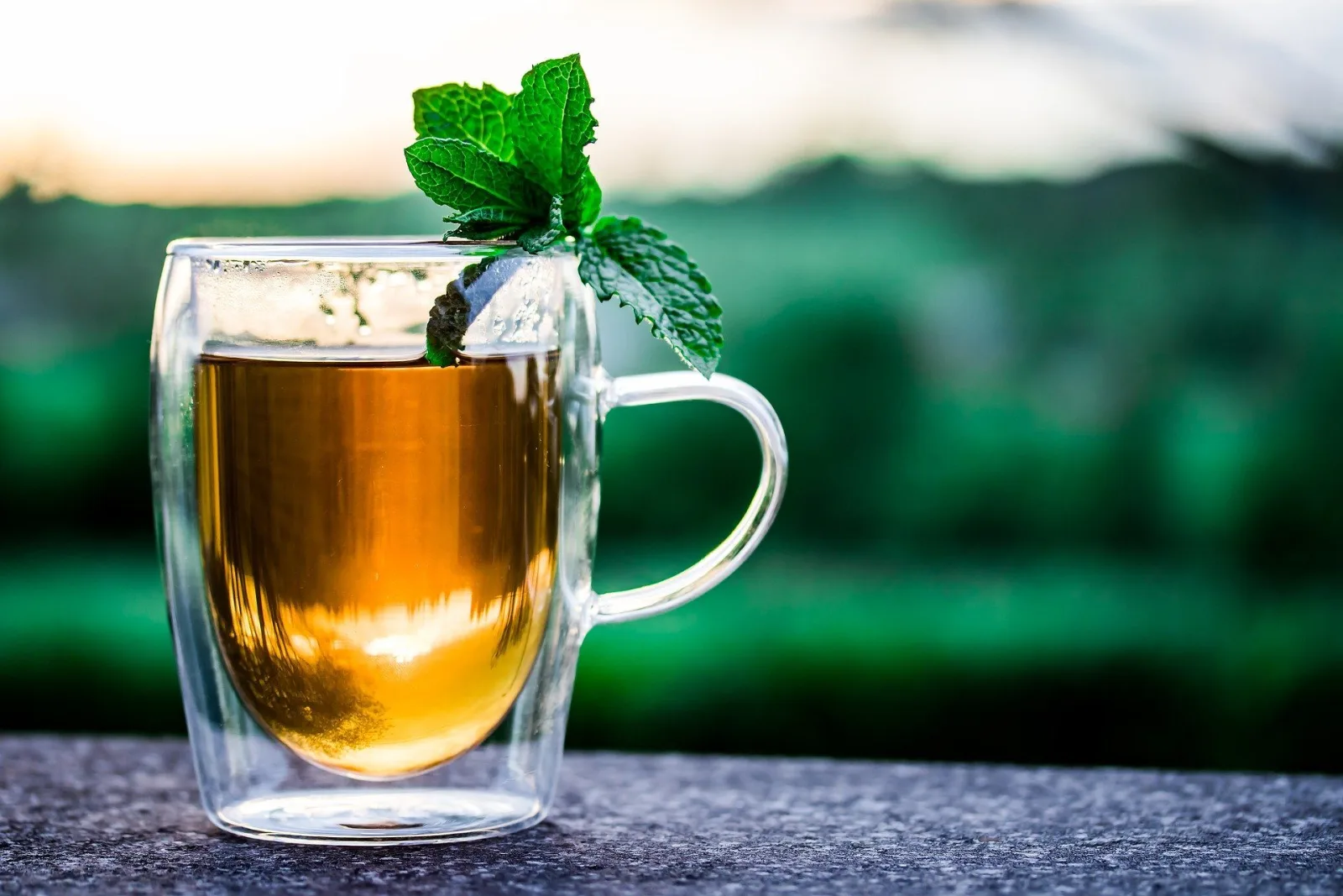 infusion menthe poivrée