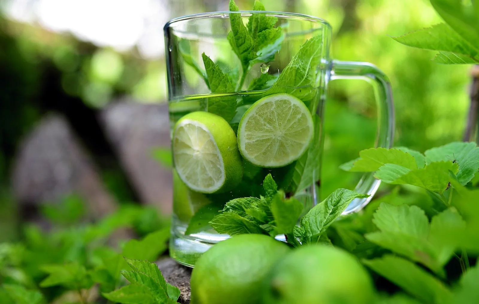 eau detox menthe poivrée