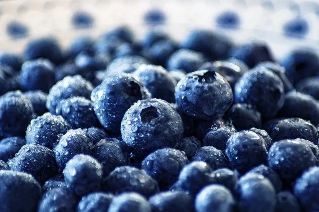 superfood myrtilles fruit nature az