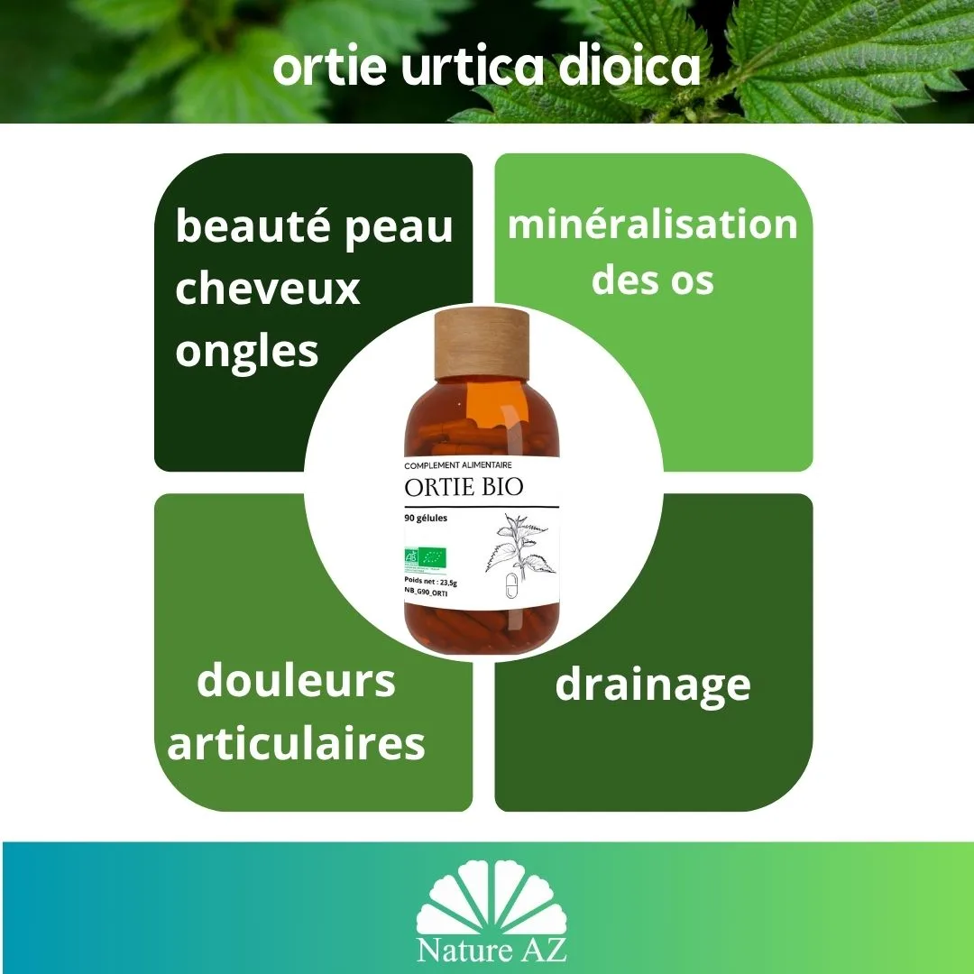 ortie bienfaits
