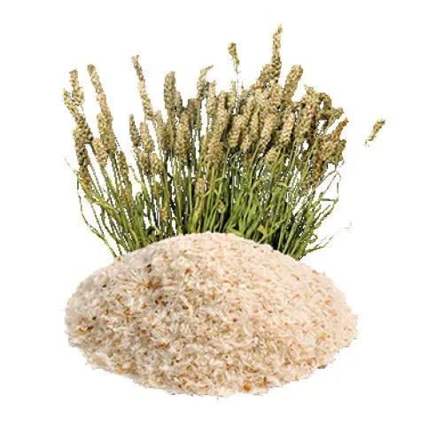 psyllium intestin bienfaits