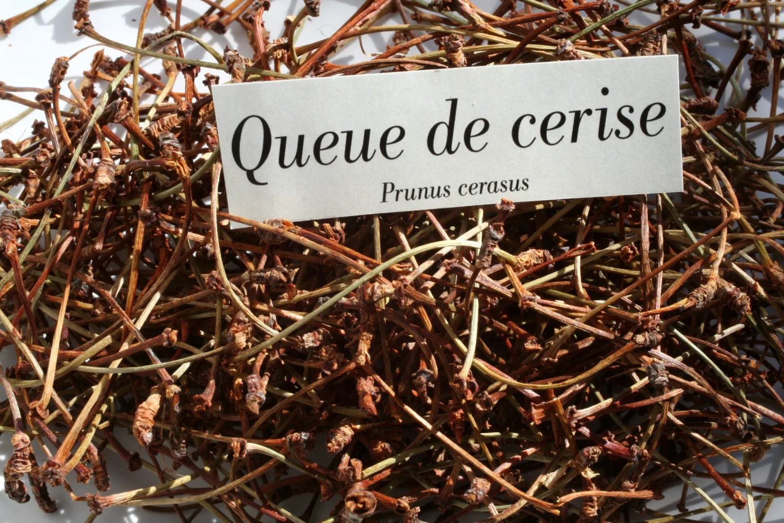 Queues de cerises infusion