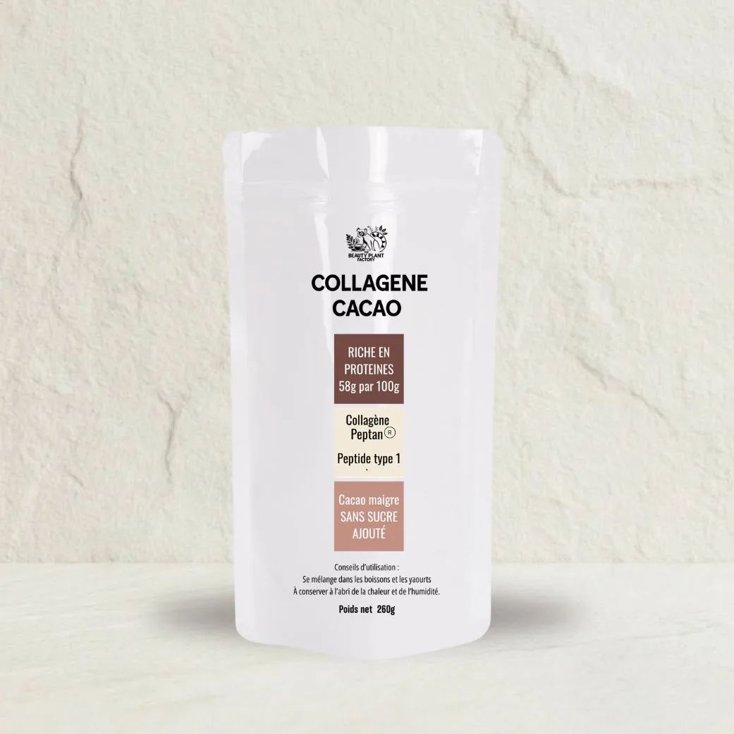 Collagène Cacao – Préparation riche en protéines au cacao