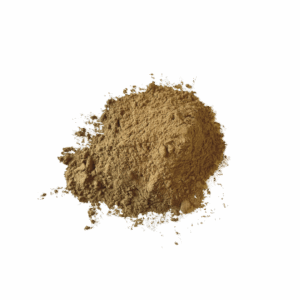 Poudre de ginkgo biloba