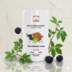 eleuthérocoque adaptogène energie