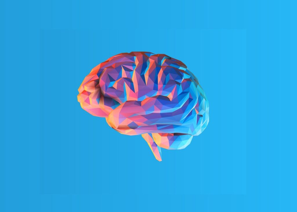 L'Incroyable Connexion Intestin-Cerveau