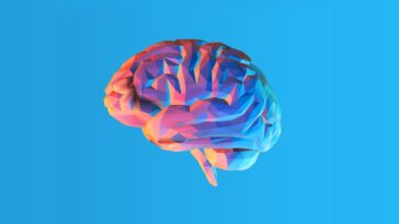 L'Incroyable Connexion Intestin-Cerveau