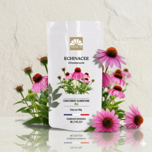 echinacee purpurea systeme immunitaire