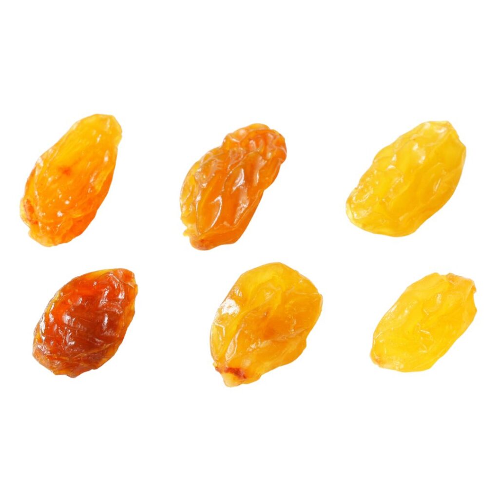 raisins secs thebeautyplantfactory.com