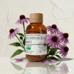 echinacea purpurea immunite