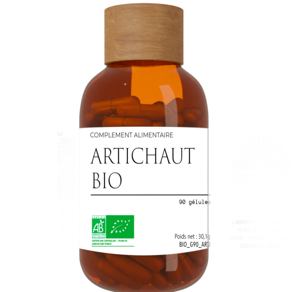 artichaut bio