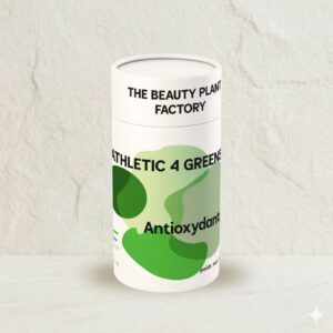 matcha moringa mate ashwaganda sport