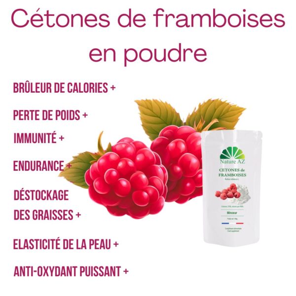 Cétones de Framboise en poudre – Image 2