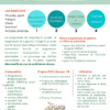 magnesium en poudre