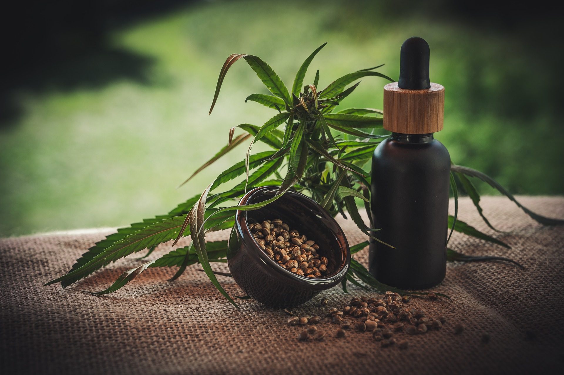 cbd legal 2025