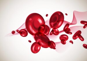 cardio purifier le sang