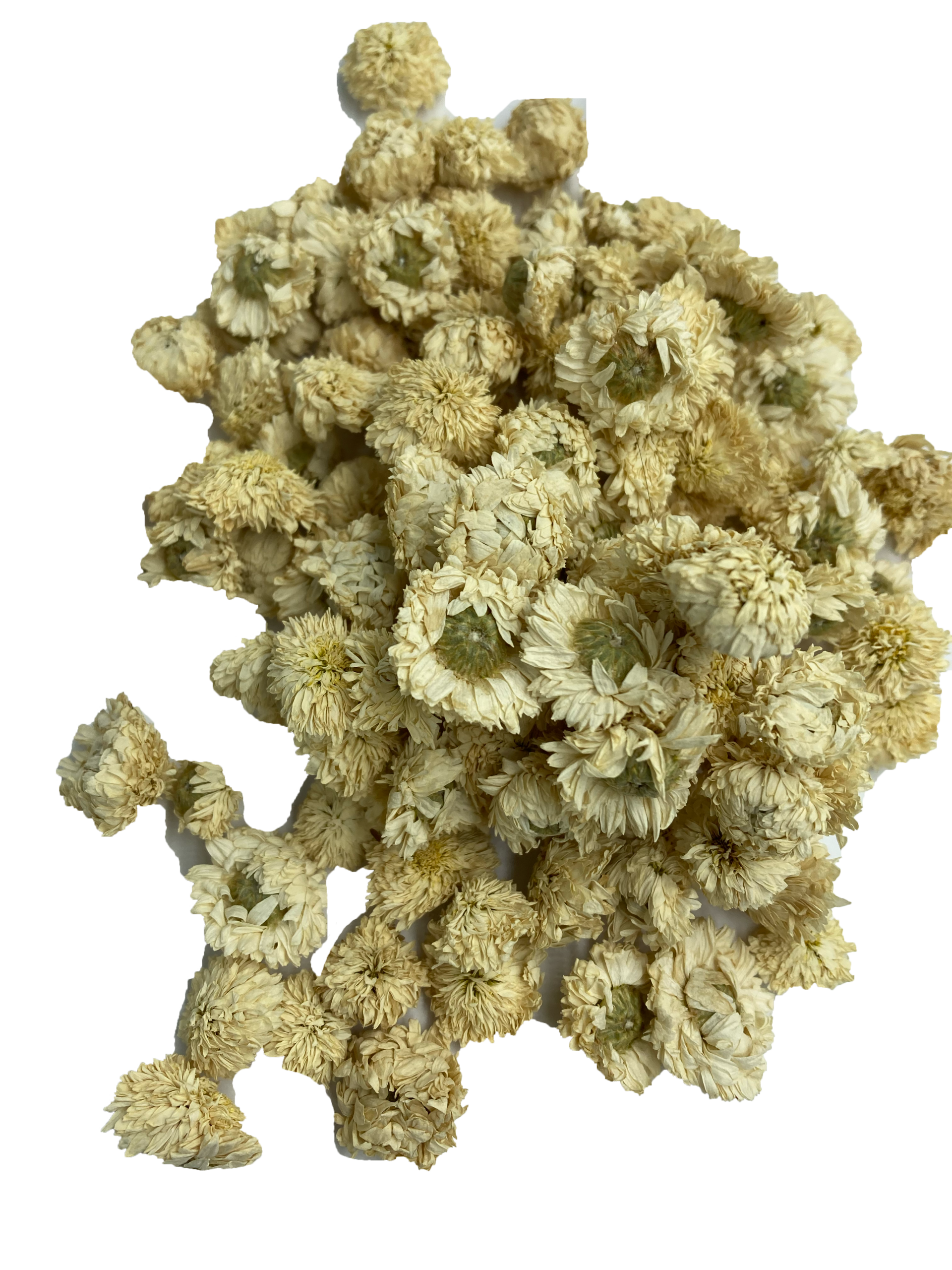 Camomille romaine bio – Image 3