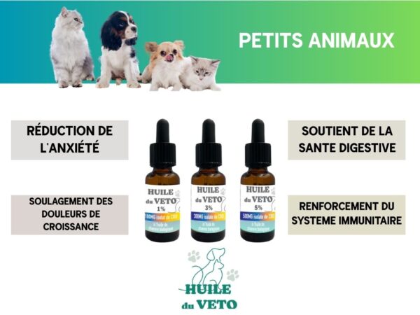 PETITS ANIMAUX