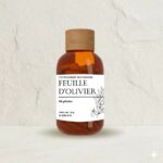 feuille olivier cardio