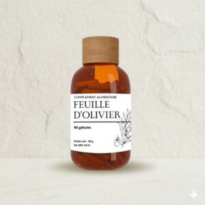 feuille olivier cardio